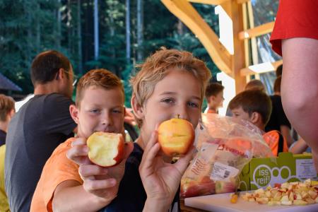 8_K izvedbi tabora so HOFERjevi kupci pripomogli z nakupom lokalnih jabolk, v katerih so uživali tudi otroci